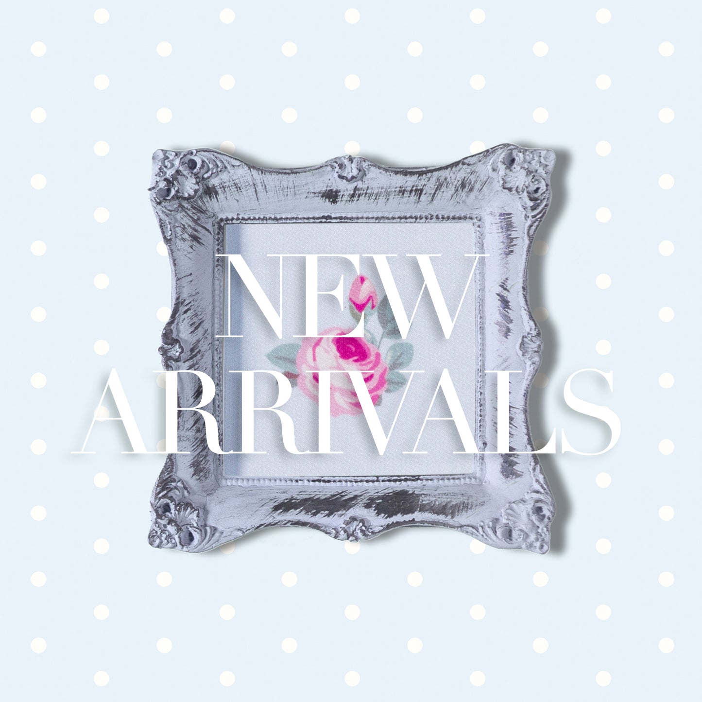 new arrivals